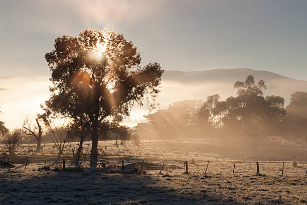 27000-australian-winter-stock-photos-pictures-and 27,000+ Australian Winter Stock Photos, Pictures & Royalty-Free Images ...